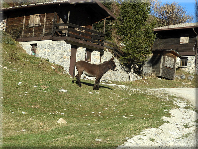 foto Piani di Bobbio